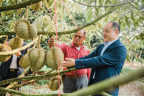 苏宁推客揭秘疫情之下的全民营销：北方肉受宠，南方菜紧俏