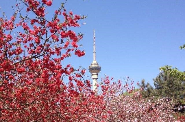 玉渊潭实名制购票，严控游客人数