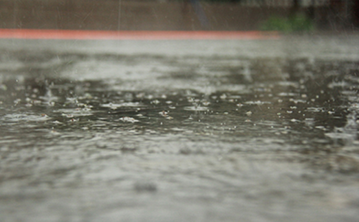 读者在图书馆避雨，闭馆时被保安驱赶，后续回应来了