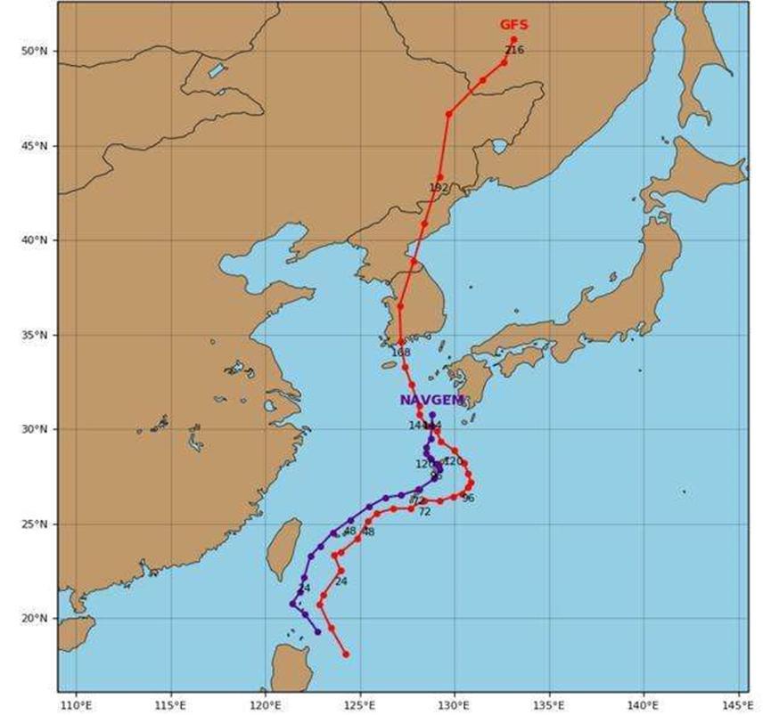 东北遭遇巴威台风，各方积极应对