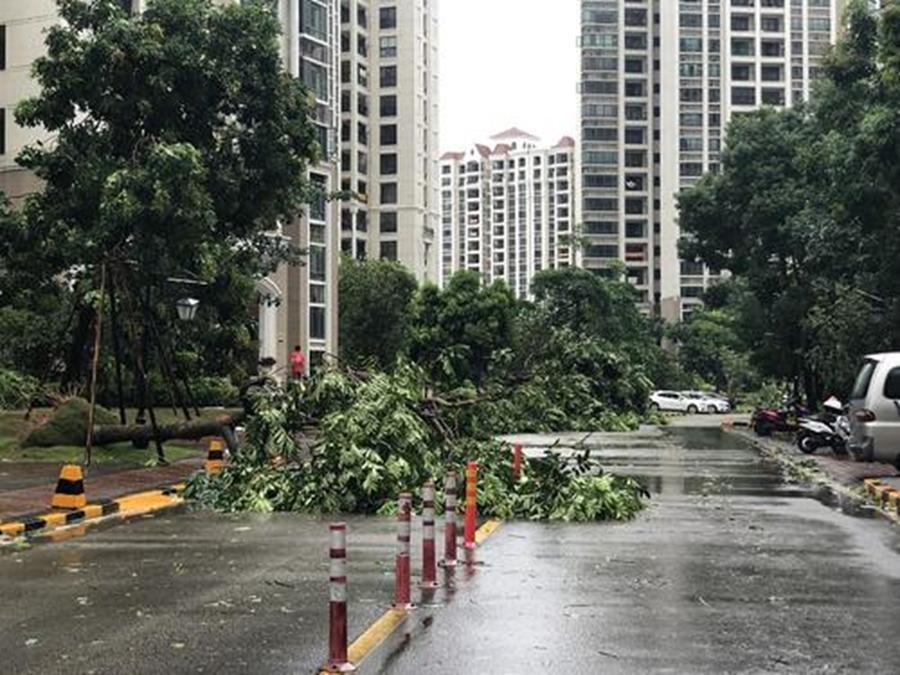 2020年第七号台风登陆，影响人们生活