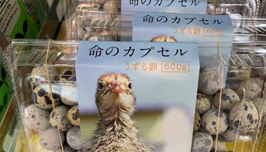 “生命胶囊”，日本鹌鹑蛋包装引热议，农场主这样解释