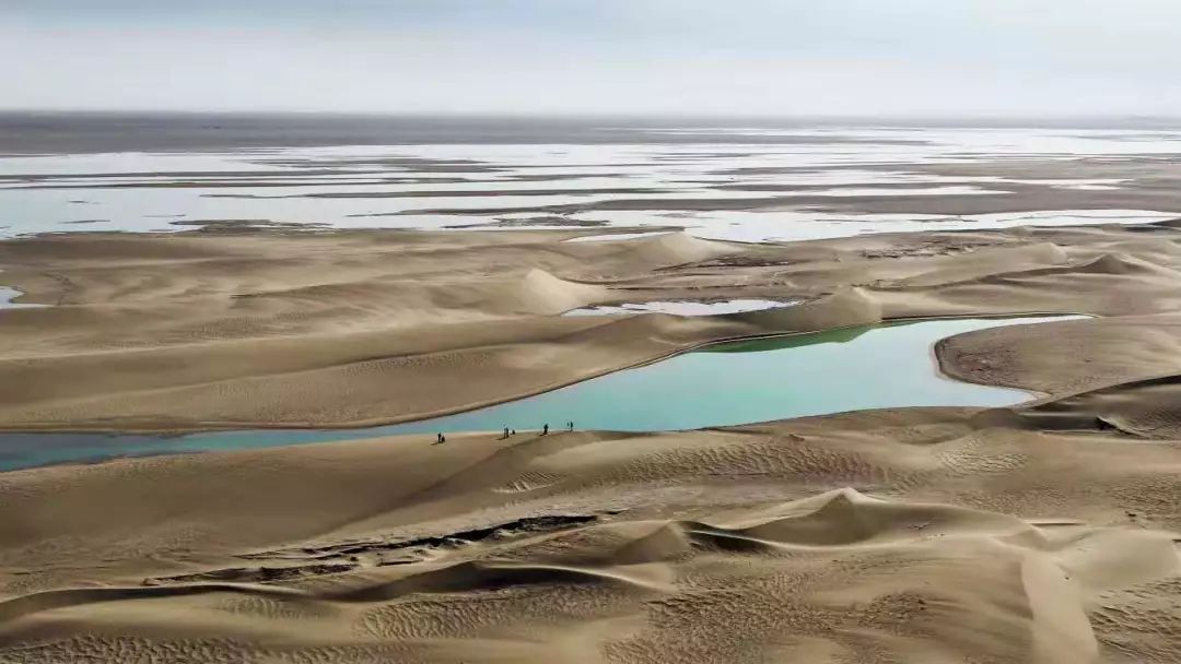 敦煌沙漠一湖泊干涸近三百年现水源，有国家保护动物栖息-企一网