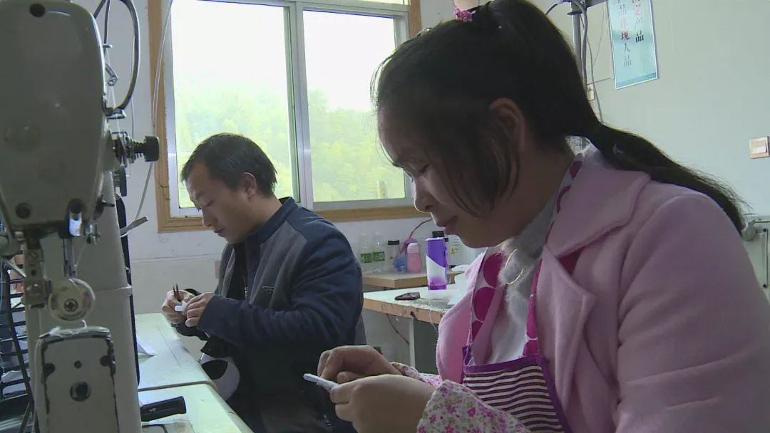 河北衡水交警：等红灯时玩手机属交通违法，将进行抓拍处罚-河北衡水-交通违法-捉拍处罚-企一网