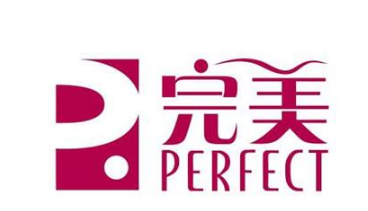 完美公司查询系统简介