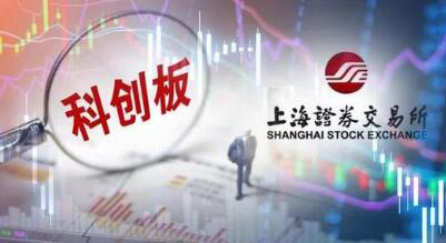 科创板企业申报信息可在上交所公司查询官网查询了