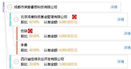 成都公司查询网