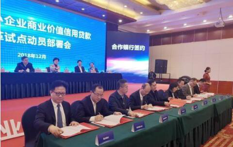 重庆公司查询网