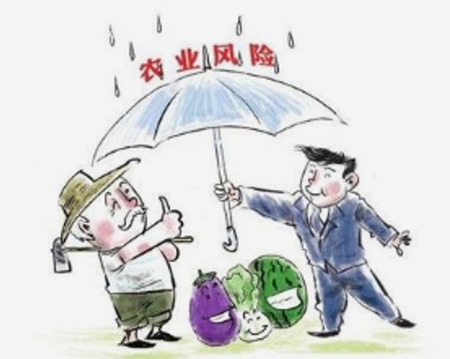 五矿经易”保险+期货’走进云南省西盟县精准扶贫农户近5500户