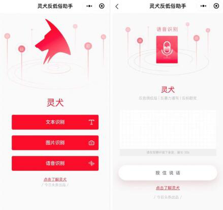 今日头条“灵犬”反低俗能力升级 新增语音识别功能