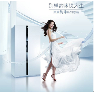 北京高院就“美菱”商标案作出终审判决 ——美菱冰箱对美菱吊顶说“不”