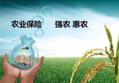 2019农险保费有望至680亿，提质增速业内建议科技创新、信息互通共享