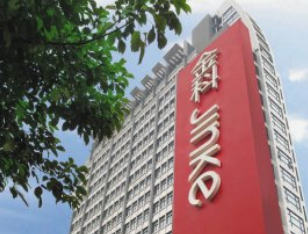 金科股份（000656）深度研究