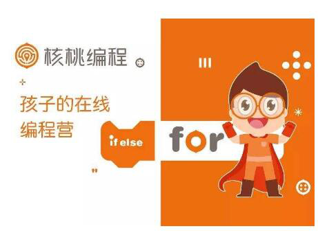 核桃编程向湖北小学生赠送10万份正价编程课