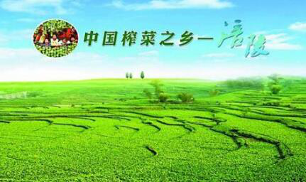 涪陵榨菜：业绩增长背后的秘密