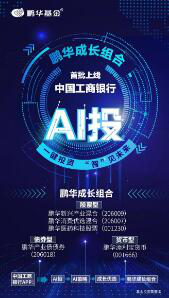 鹏华基金王牌观点：坚信专业理性，恐惧从来只是片段