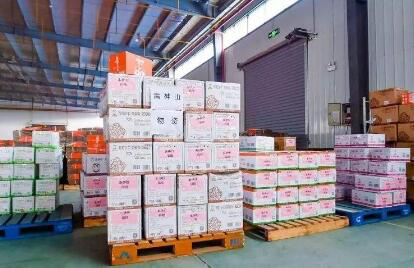 抗击疫情 消费企业在行动：来伊份筹集价值600万元物资支援抗疫一线