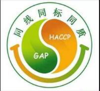 制造业如何穿越疫情阴霾？看大象联盟的纾困手段