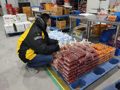 苏宁菜场帮扶农户：物流、人员、销售一手抓