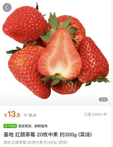 苏宁菜场帮扶农户：物流、人员、销售一手抓