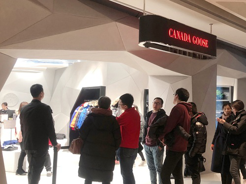 进入中国一年多时间，加拿大鹅发展得如何