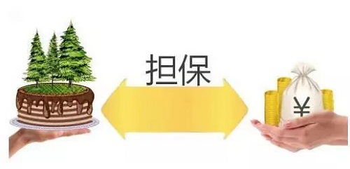 华讯方舟违规收监管函 为子公司1亿元逾期债务担保未及时披露