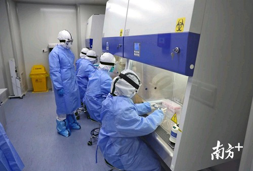 华大基因在全国完成逾20万人份核酸检测 