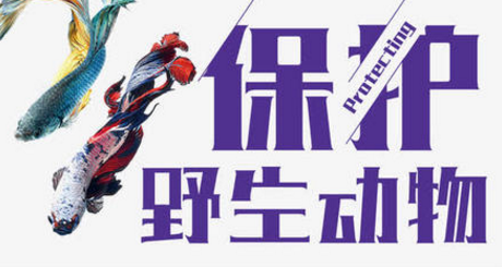 说明: UC截图20200312182710.png
