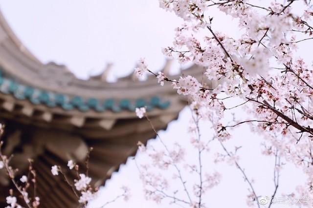 说明: 9a504fc2d5628535e56e56d9ed8a2fc0a6ef6323