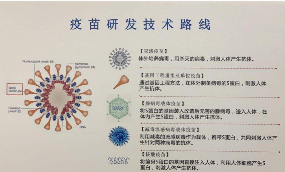 疫苗发展取得新进程