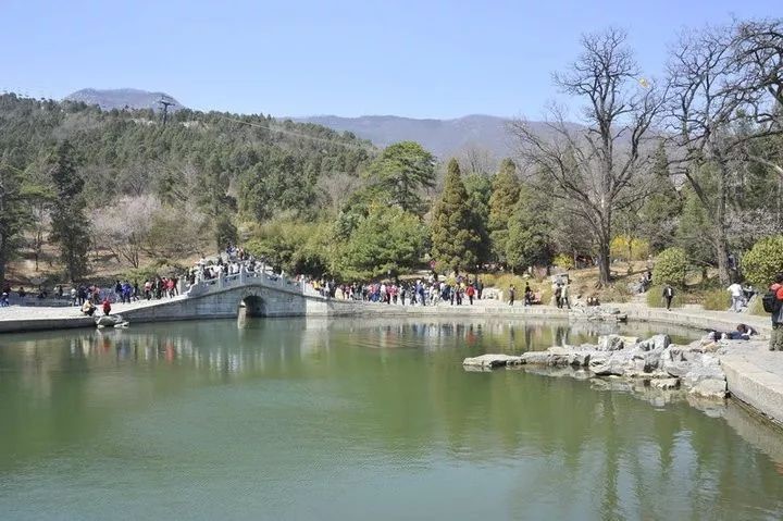 北京恢复市内组团游