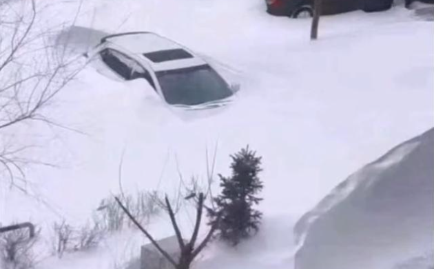 齐齐哈尔遭强降雪袭击