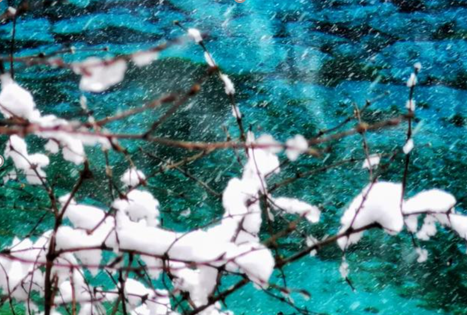 九寨沟连续三天下雪