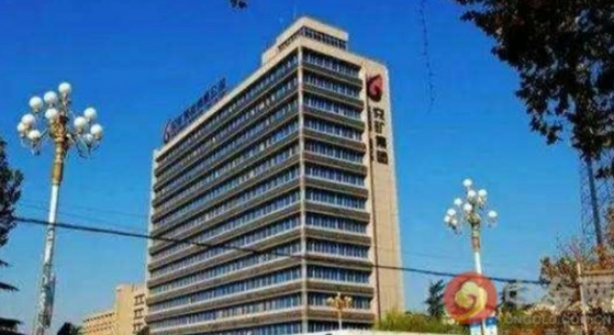 企业进行混合所有制改革