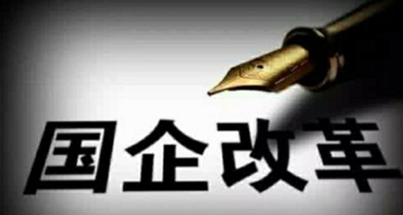 企业进行混合所有制改革