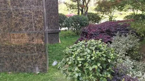 女博士带女婴跳楼自杀