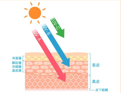 坚持防晒