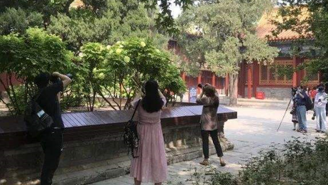 故宫恢复对外开放