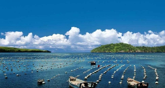海洋牧场