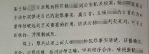 10岁女孩侵害致死