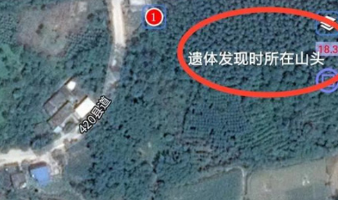 10岁女孩侵害致死