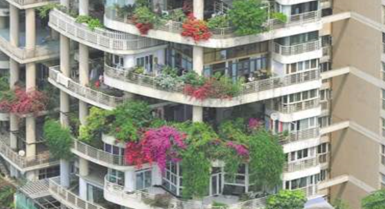 成都一小区现30层楼高花墙