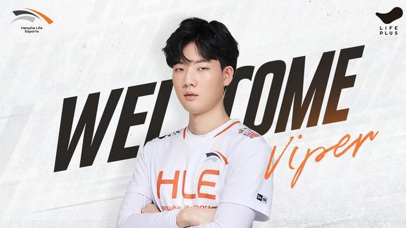Viper加入HLE