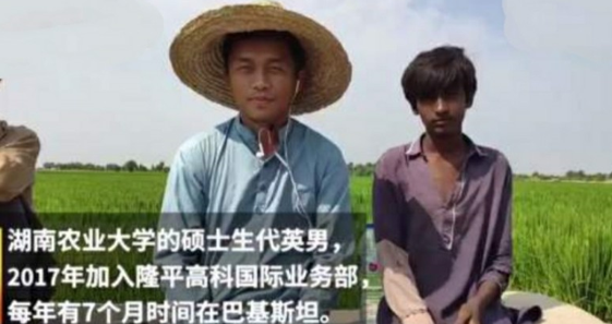 中国小伙推广杂交水稻