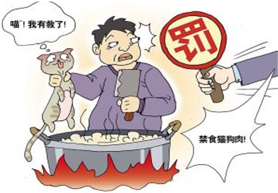 建议用法律制裁虐待动物行为