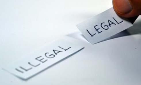 教育部调查仝卓改往届生身份