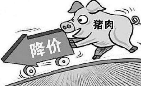 猪肉全国零售均价下降13元