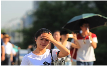 烈日当头，多地爆发高温警报