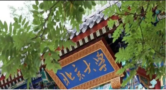 清华北大学子本科无人就业