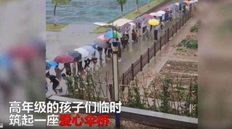最近根据有关媒体报道，在马鞍山一所学校在下大雨的时候，高年级的学生为了帮助低年级的学生不被大雨淋湿，于是便在老师的组织之下，有序的用伞撑起了一条道路。